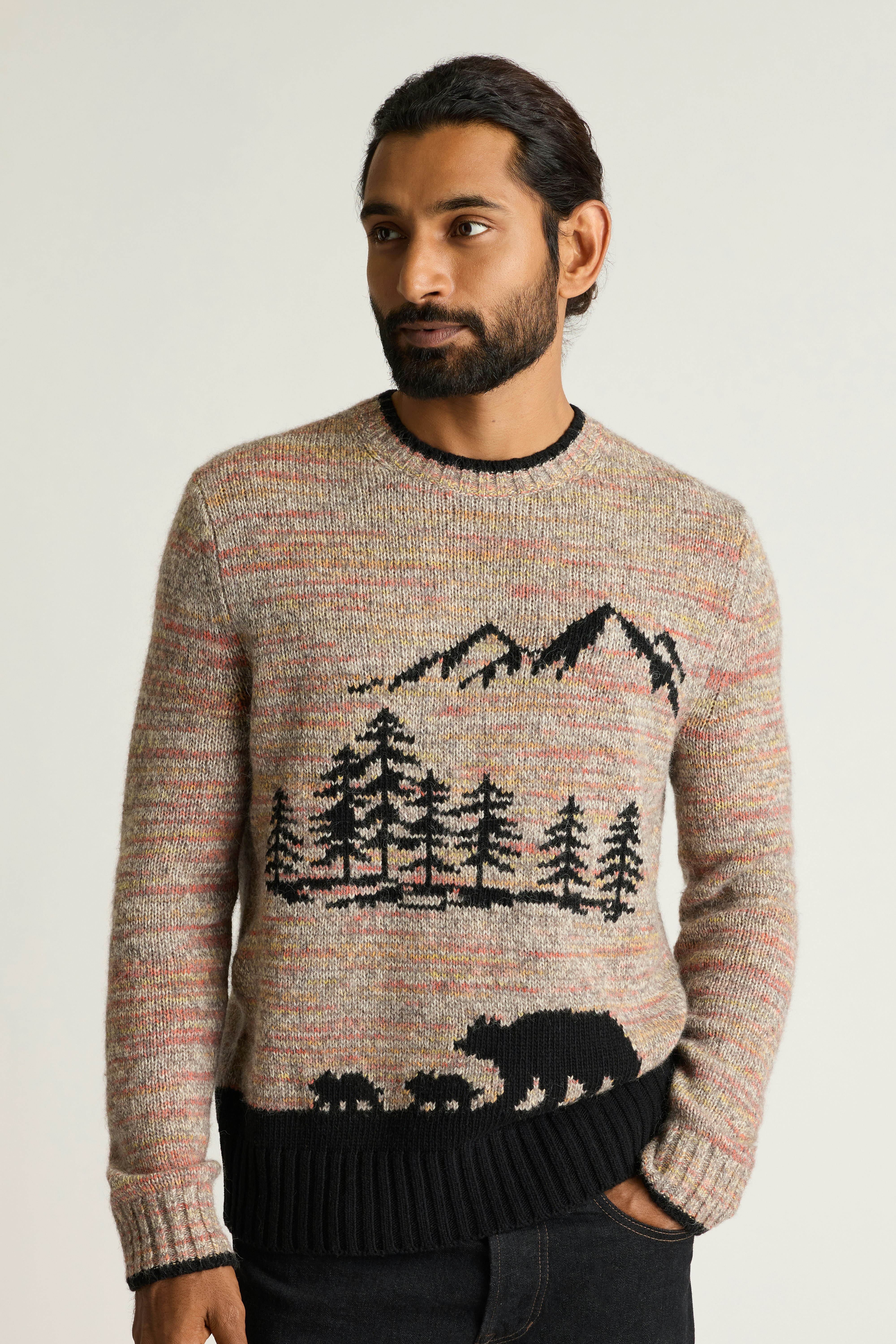 Bear Stroll Sweater multicolor space dye